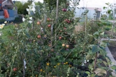 018-21 (Small)