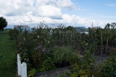 019-22 (Small)