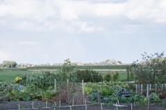 Volkstuin-003 (Small)