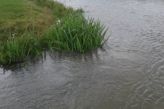 20140822_163307